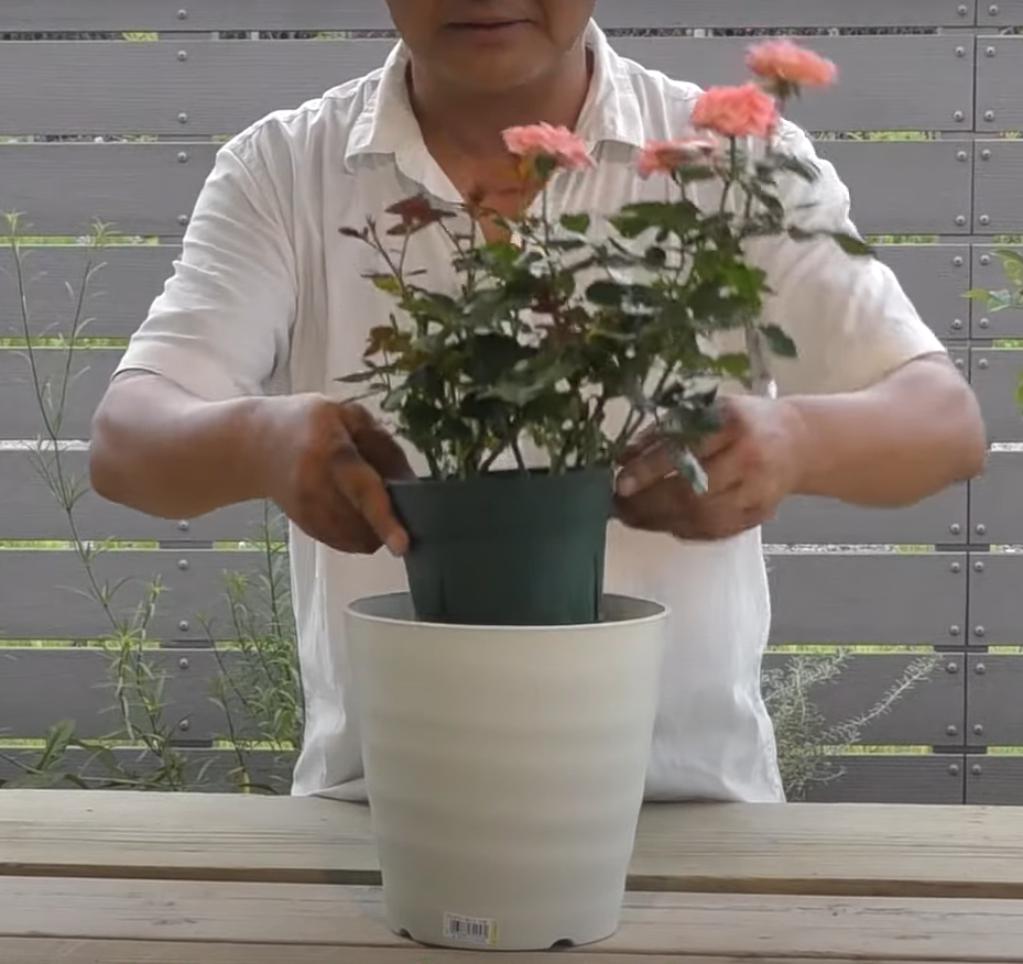 その他 【取りに来てくださる方のみ】植木鉢 美品 使用期間1か月弱 