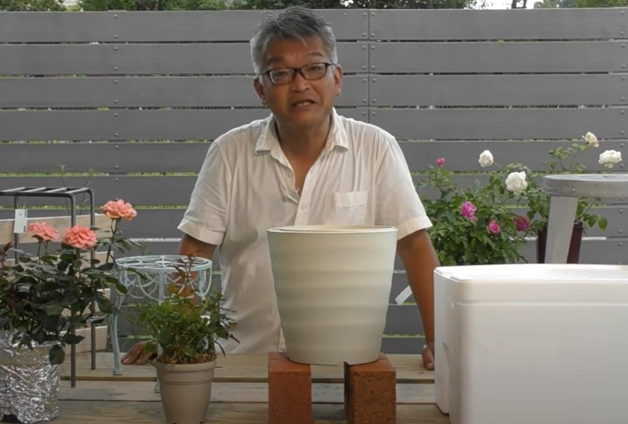 バラの暑さ対策　酷暑から鉢植えのバラを守るコツ！