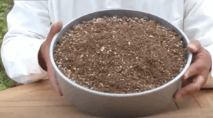 バラの土はどんな土が良い？バラが好きな「チャーハンの土」