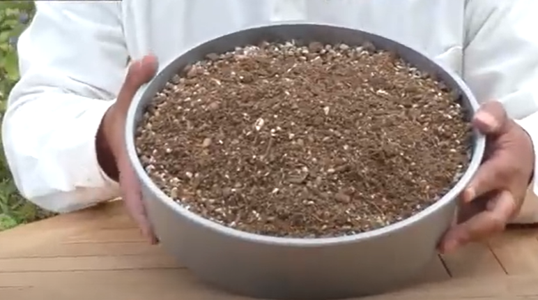 バラの土はどんな土が良い？バラが好きな「チャーハンの土」